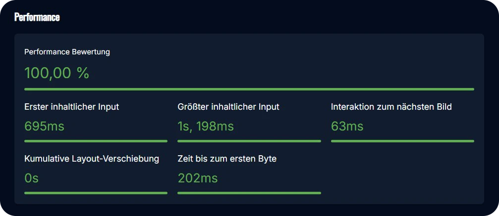 Darstellung der Seitenperformance
